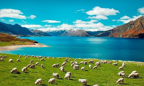 New Zealand Summer Adventures with Carrington Tours