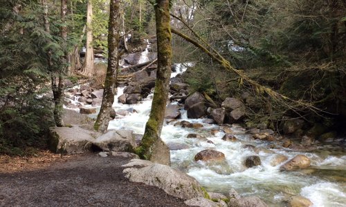 Bottom of Shannon Falls