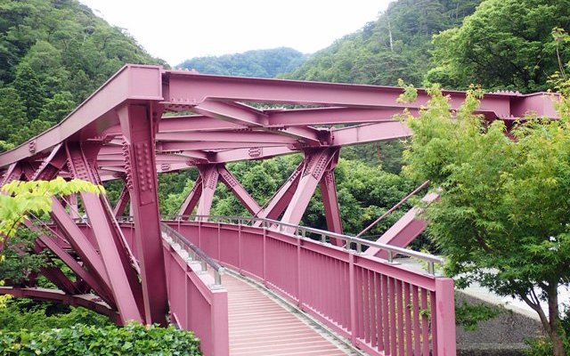 骨格が幾何学的な角度で組み合わされています。