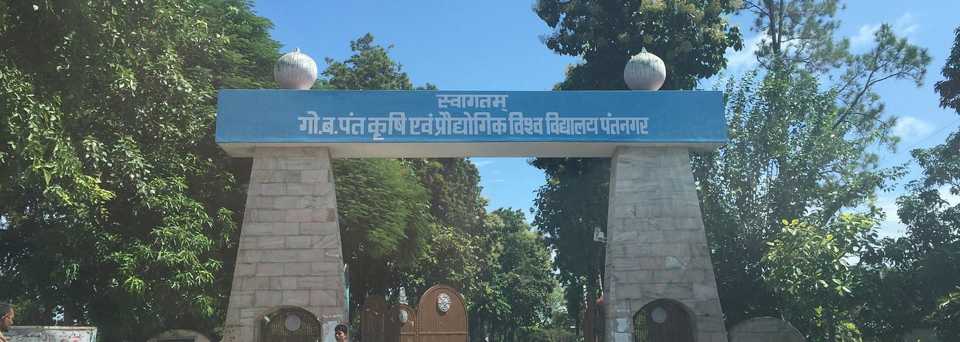 Main entrance to Gobind Ballabh Pant University of Agriculture and Technology