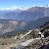 Things To Do in Chopta Trek, Restaurants in Chopta Trek