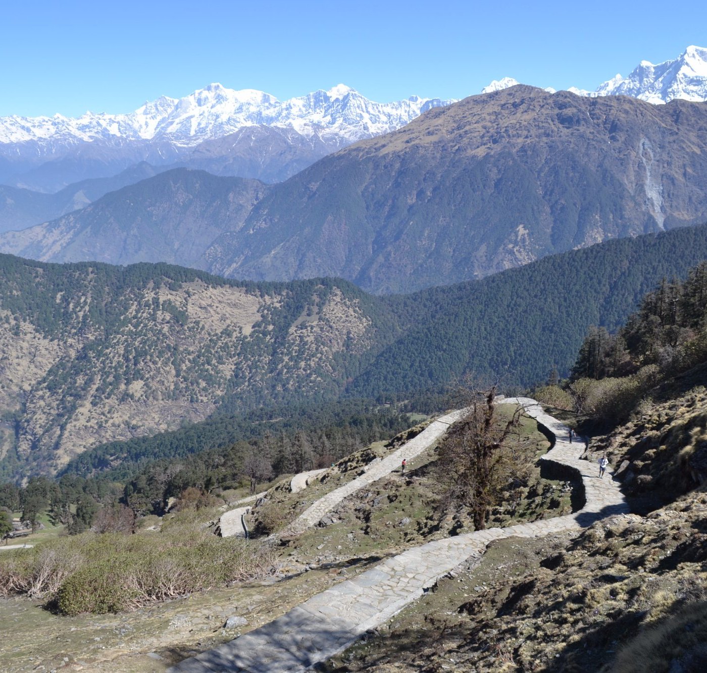 chopta tour package