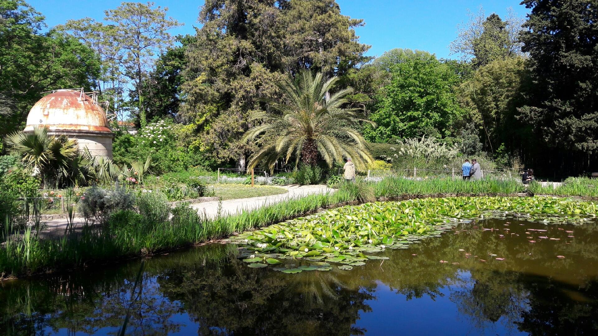 Jardin Des Plantes Montpellier All You Need To Know   Resized 20170420 160150 