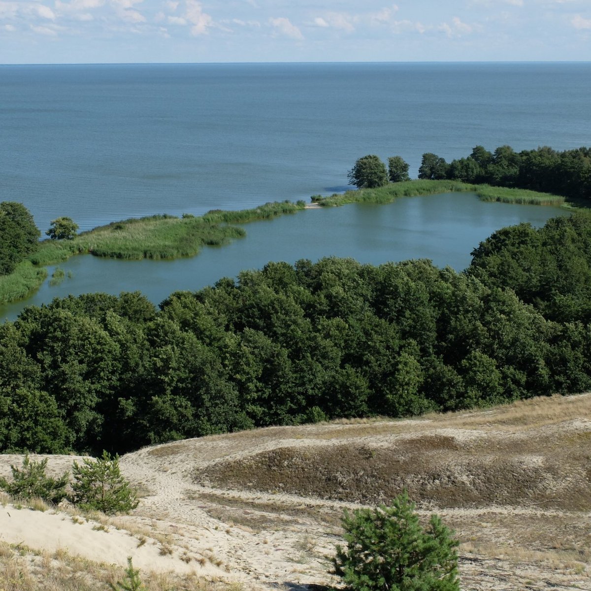 Озеро Лебедь, Морское: лучшие советы перед посещением - Tripadvisor