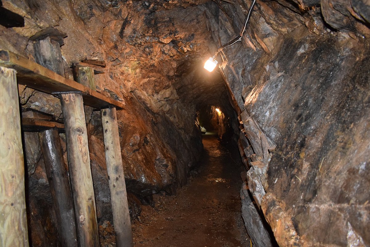 Gold Panning  Museum of Lead Mining