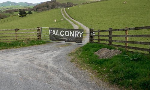 The entrance to the Falconry Experience
