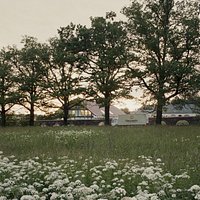 Blooming brewery in summertime