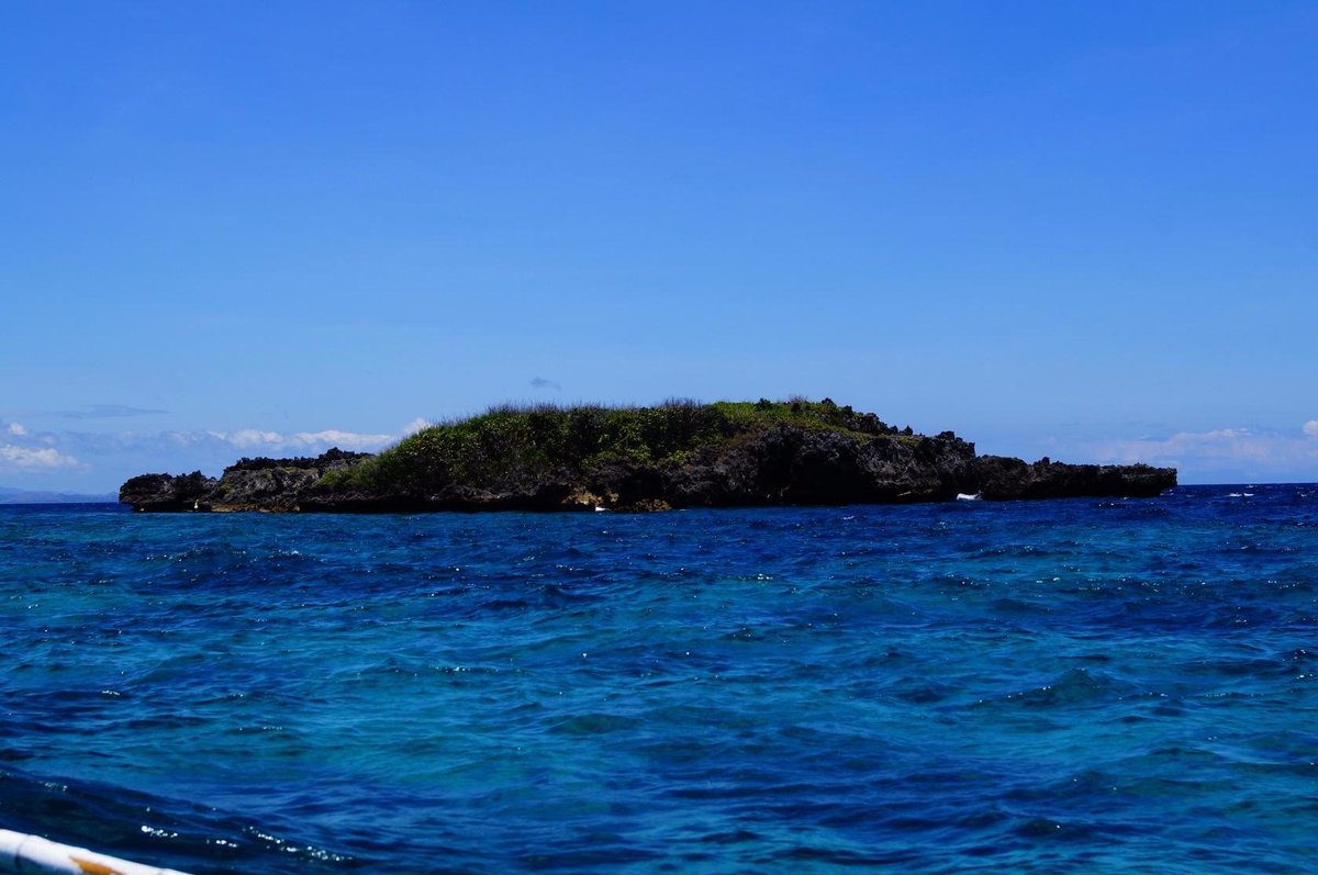 Crocodile Island, Боракай: лучшие советы перед посещением - Tripadvisor