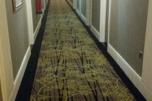 Room & Suite