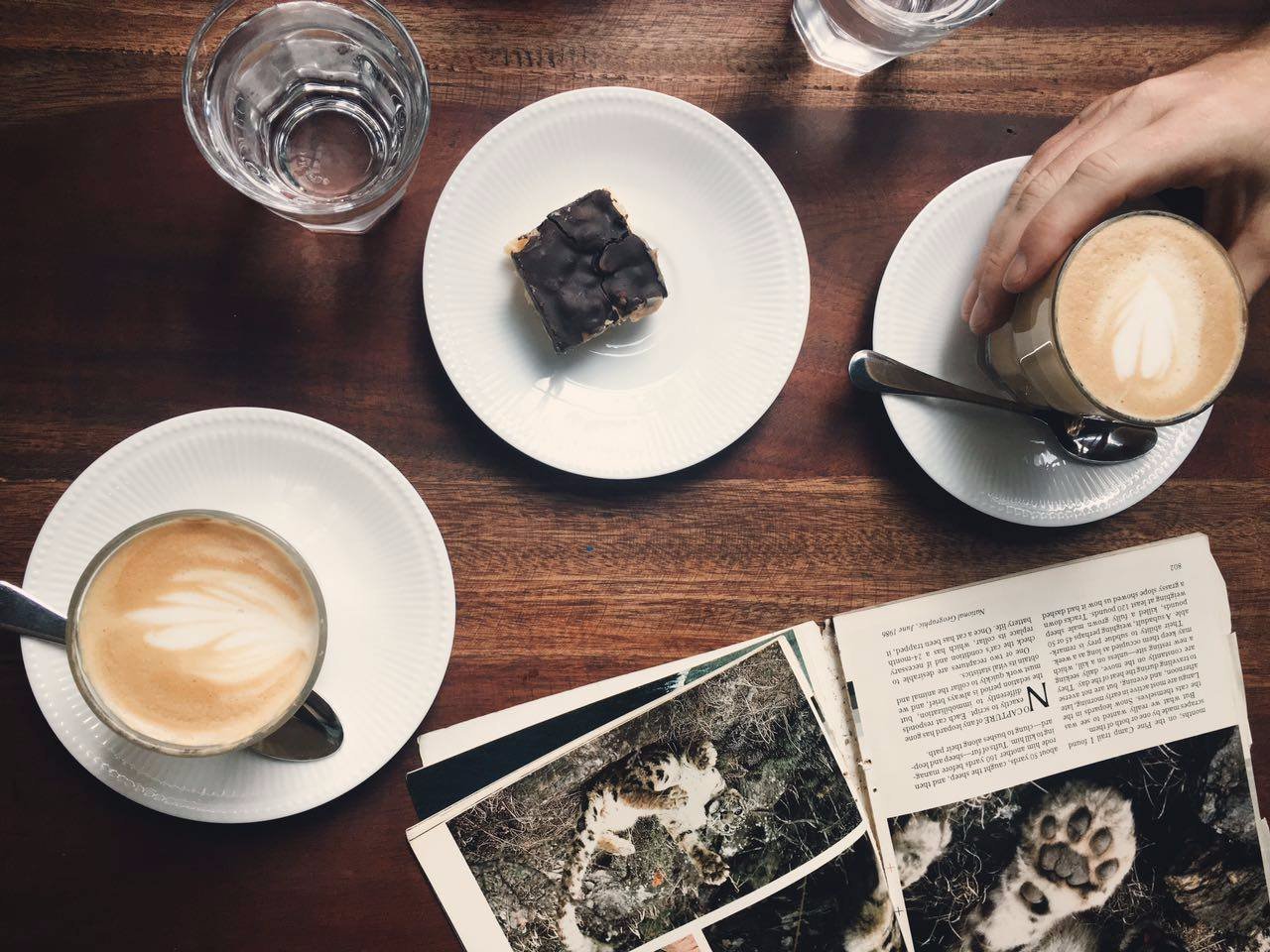 Black Cat Cafe + Stay by null