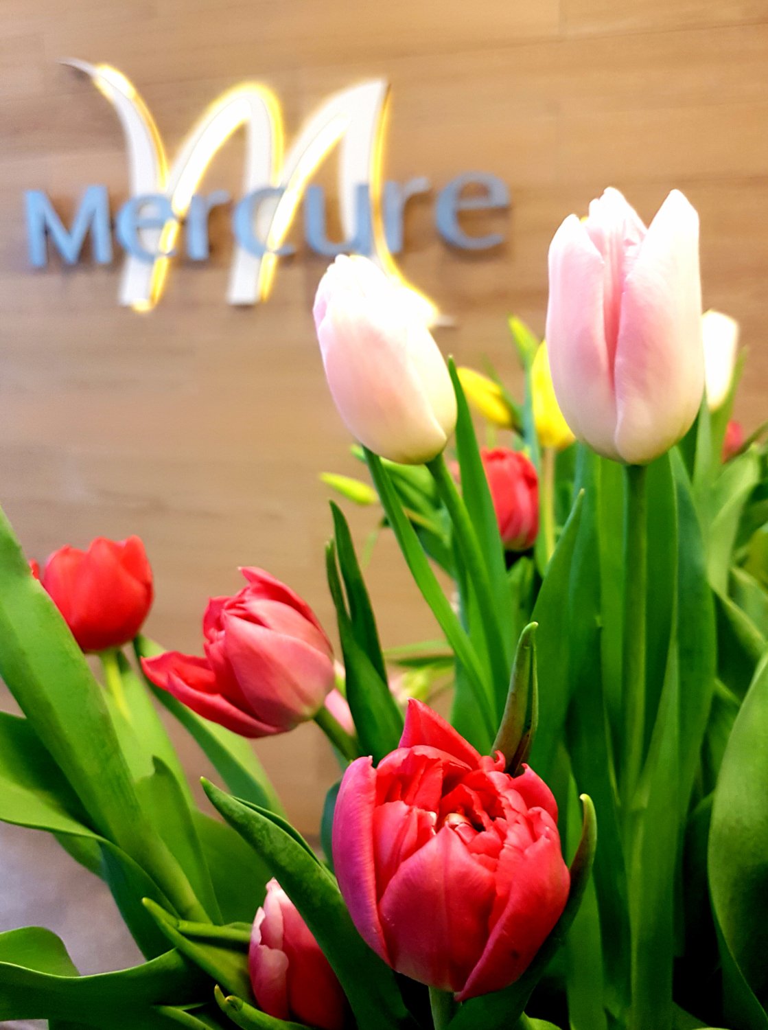 Hotel photo 56 of Mercure Warszawa Centrum.