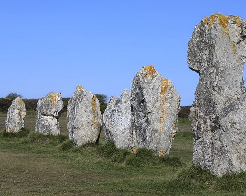 Petit Menhir – Cocon-Schooling