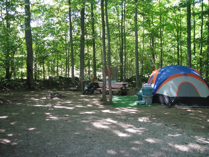 MILLER'S FAMILY CAMP - Tripadvisor - Updated 2024 Campground Reviews