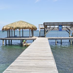 Great for sunning, hanging a hammock under the shaded palapa, going for a snorkel on the reef ..