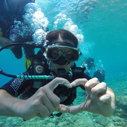 PADI Open Water Diver | Blue Horizon Diving