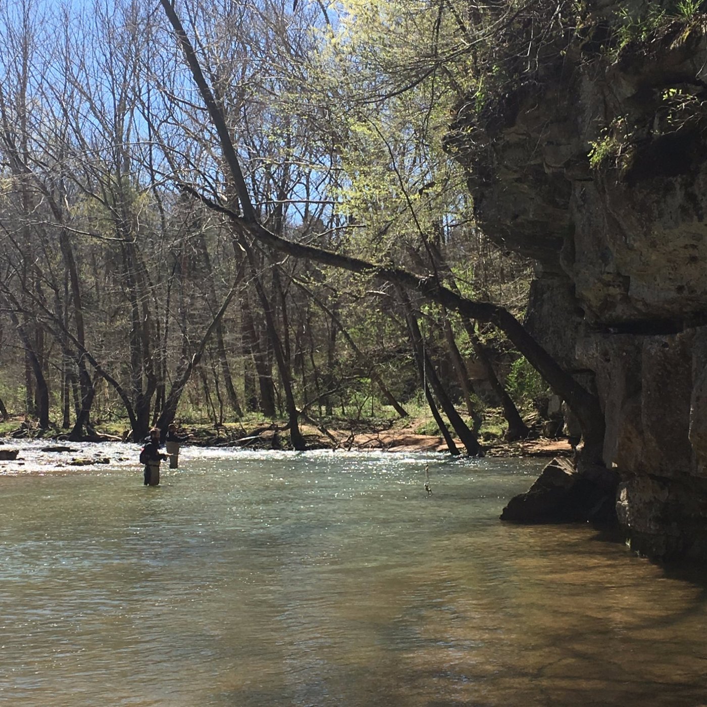 Escape to Otter Creek Park: Where Adventure Meets Tranquility in Louisville