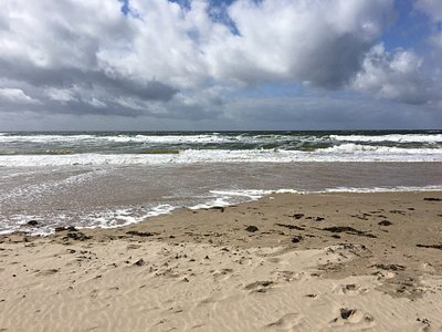 visit bergen aan zee