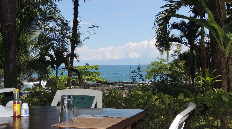 View from the dining area