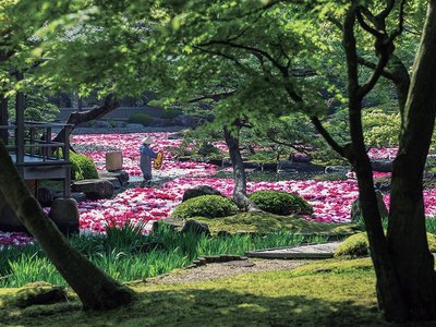 21年日本松江市的旅游景点 旅游指南 行程 Tripadvisor