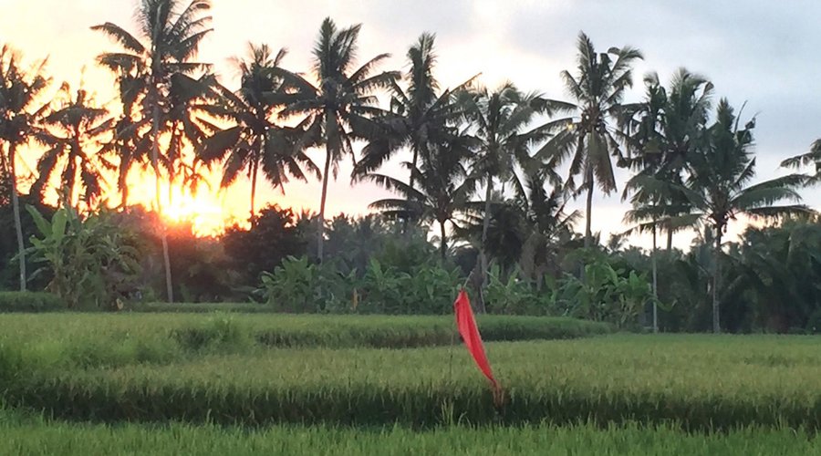 Sunrise at Suly Resort