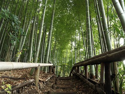 21年日本东久留米市的旅游景点 旅游指南 行程 Tripadvisor 21年日本东久留米市的旅游景点 旅游指南 行程 Tripadvisor