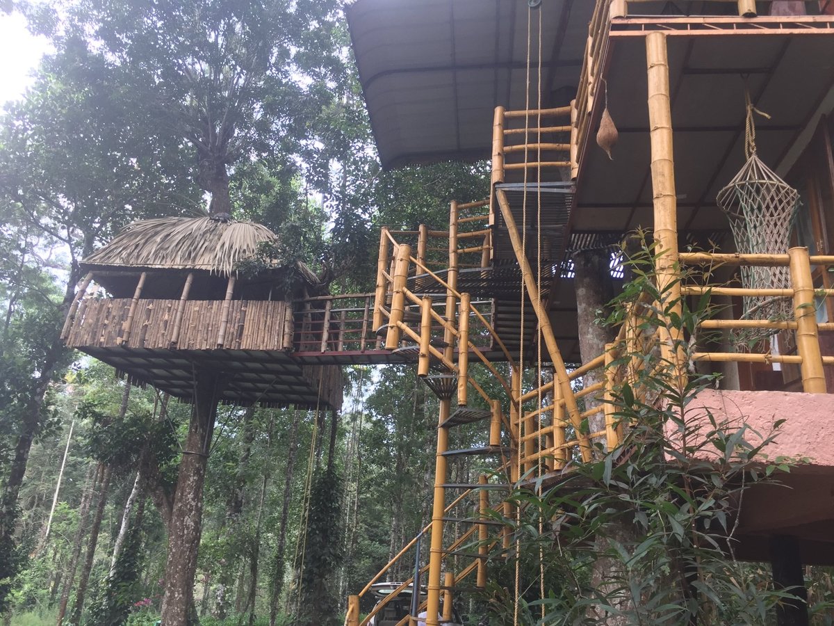 JUNGLE JIVE TREE HOUSE MUNNAR (Муннар) - отзывы, фото и сравнение цен -  Tripadvisor