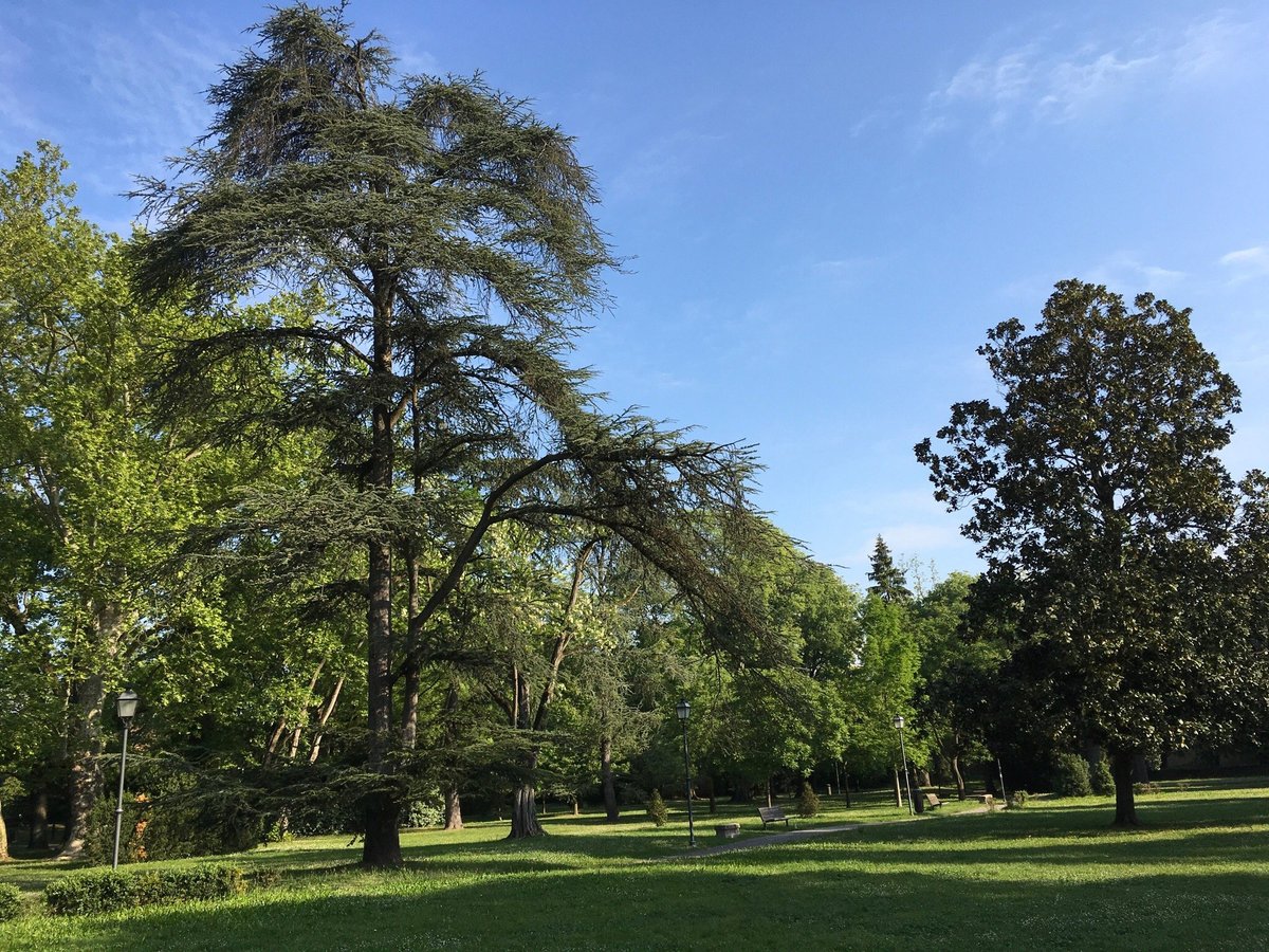 Visita guiada por Ravena com ingressos - Reserve em  Portugal