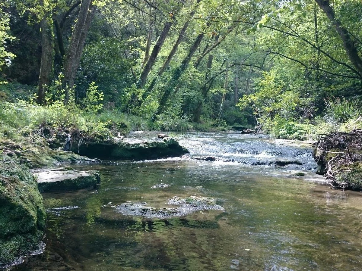 SENTIER DE LA VALLEE DE LA BRAGUE (2024) All You Need to Know BEFORE ...