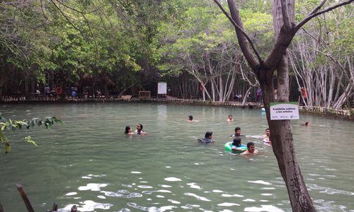 Progreso, Mexiko Tourismus in Progreso Tripadvisor