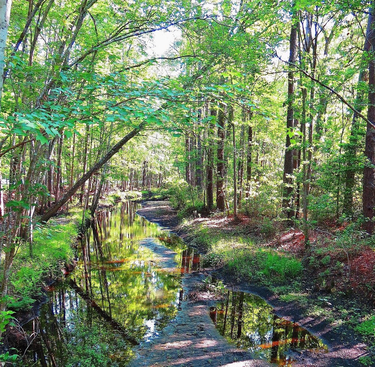 WALTERBORO WILDLIFE SANCTUARY Tutto quello che c'è da sapere