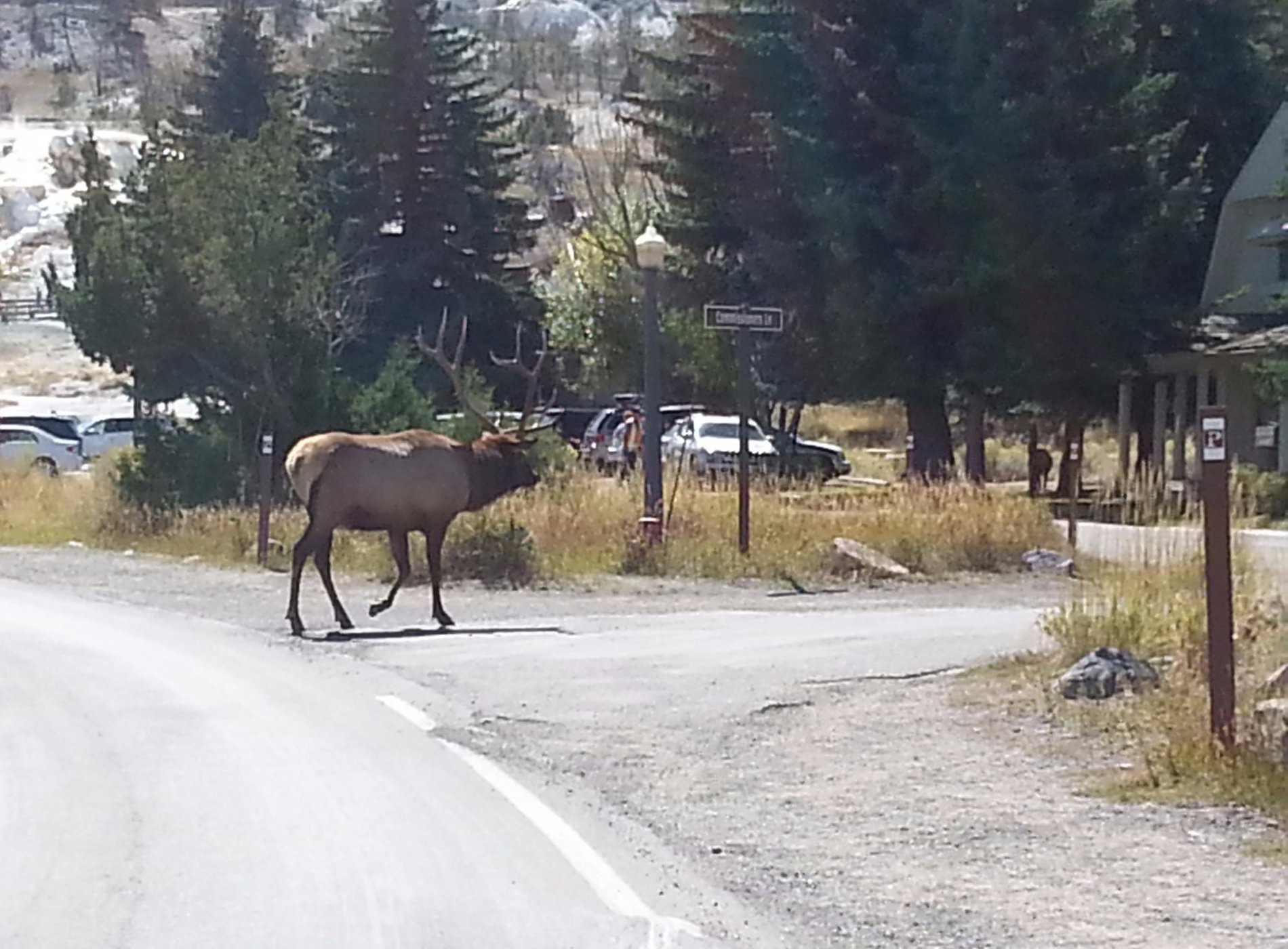 Yellowstone RV Park by null