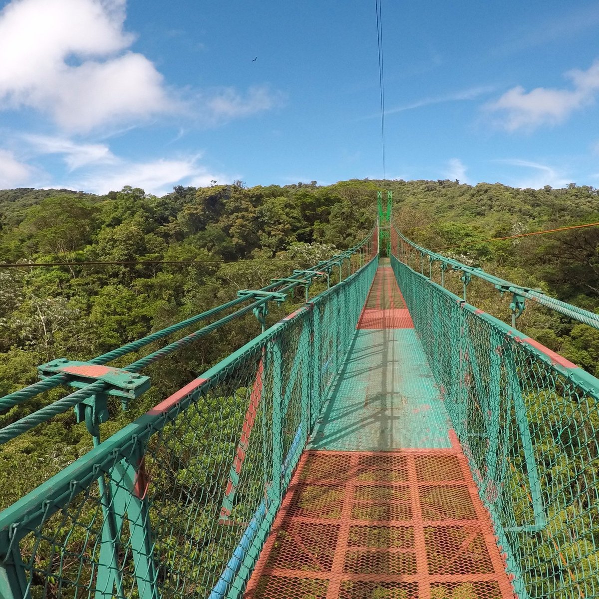 Tourist arriving to platform on a canopy cable ride, Monteverde, Santa  Elena, Costa Rica, Central America Stock Photo - Alamy