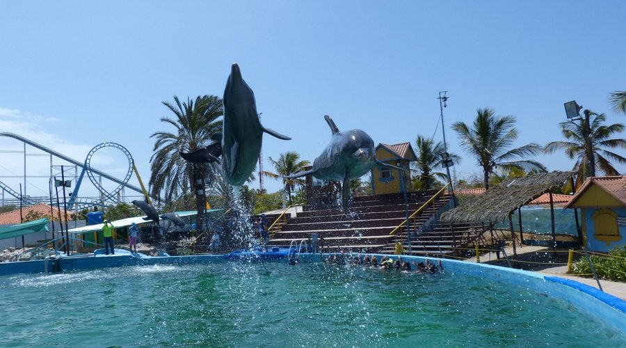 Experiencia inolvidable, hermosos animales