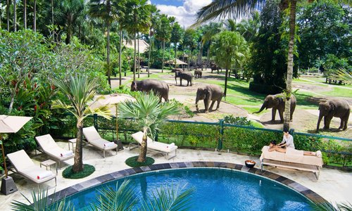 Lodge Poolside View