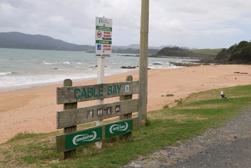 are dogs allowed at cable bay