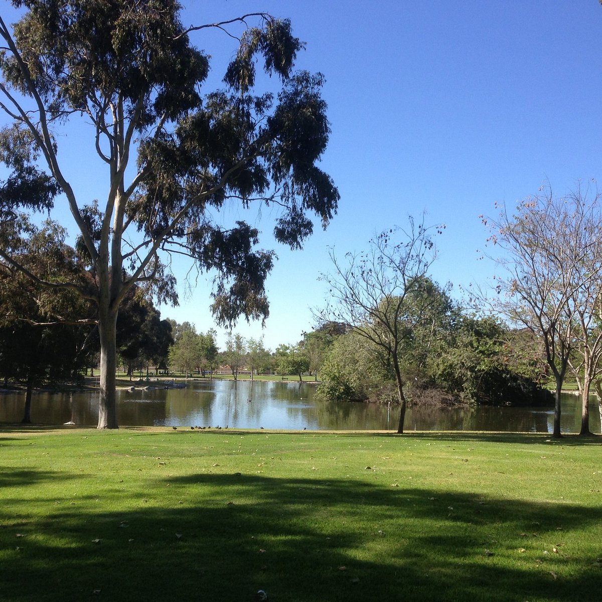 Mile Square Regional Park (Fountain Valley) - All You Need to Know ...