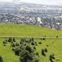 Being above Fremont and the Bay on these long paths through green green hills - priceless!