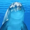 777WorldTraveller777