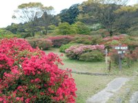 21年 久留米森林つつじ公園 行く前に 見どころをチェック トリップアドバイザー