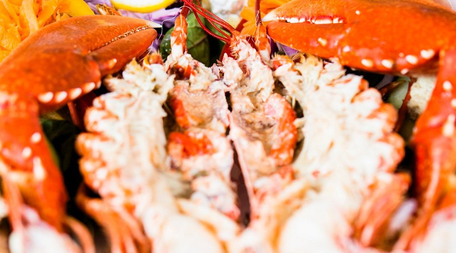 THE START BAY INN Torcross 2025 Reviews Information THE START BAY INN Torcross 2025 Reviews Information