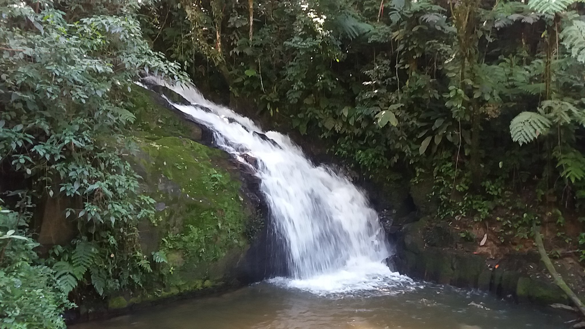 Cachoeira Do Chá - O Que Saber Antes De Ir (ATUALIZADO 2024)