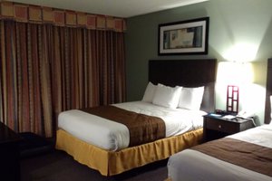 Room & Suite