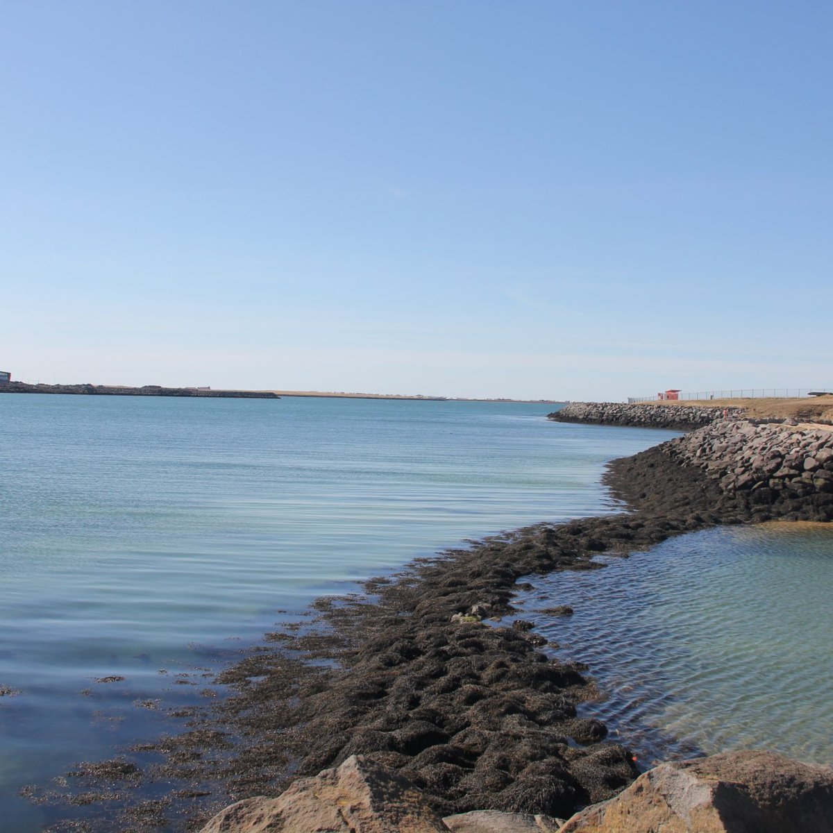 Nautholsvik Geothermal Beach, Рейкьявик: лучшие советы перед посещением -  Tripadvisor