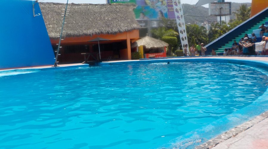 Otra vista de la entrada al show de los delfines.