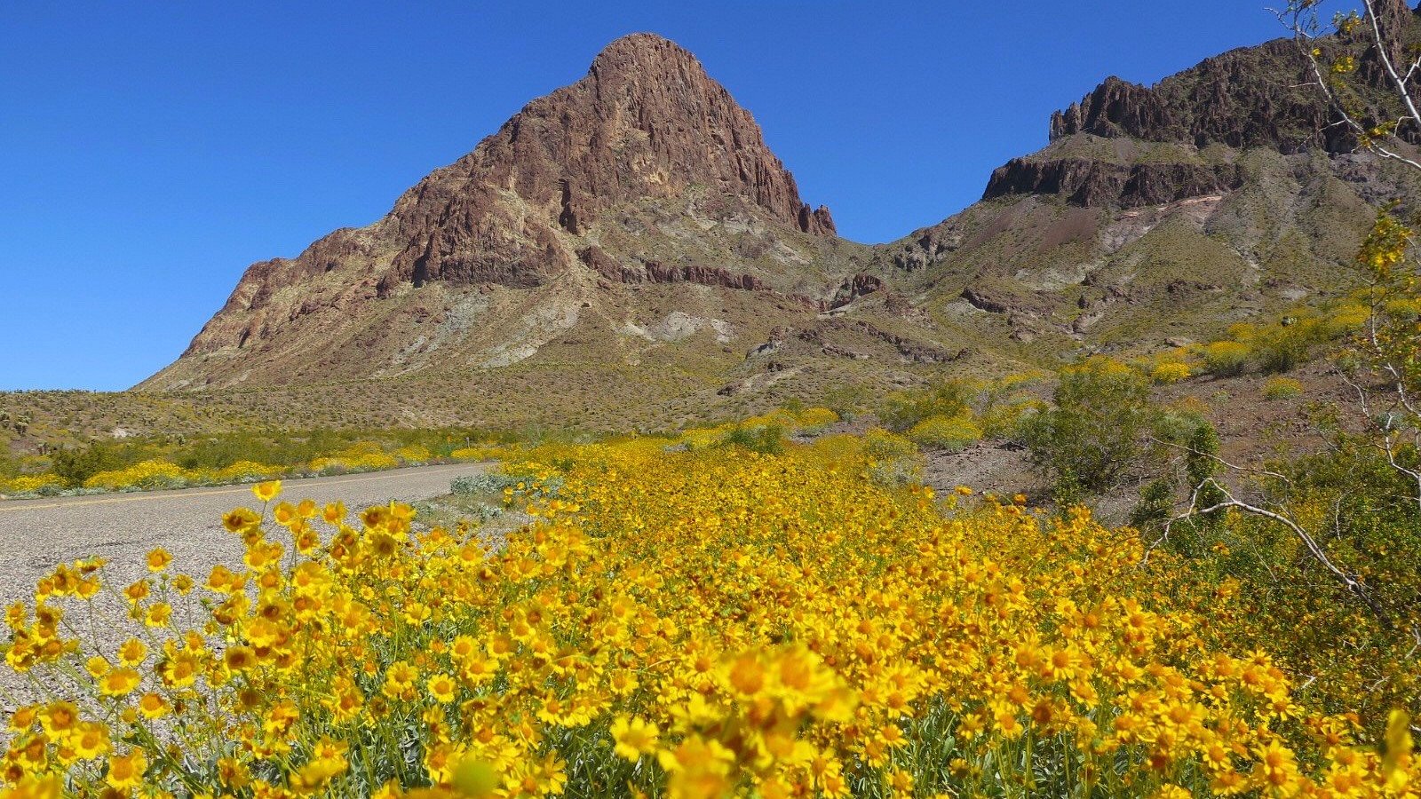 THE BEST Hotels in Oatman, AZ for 2022 (from 53) Tripadvisor