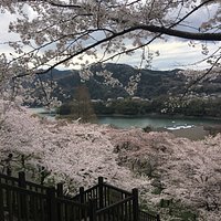 神奈川県立津久井湖城山公園・水の苑地・花の苑地