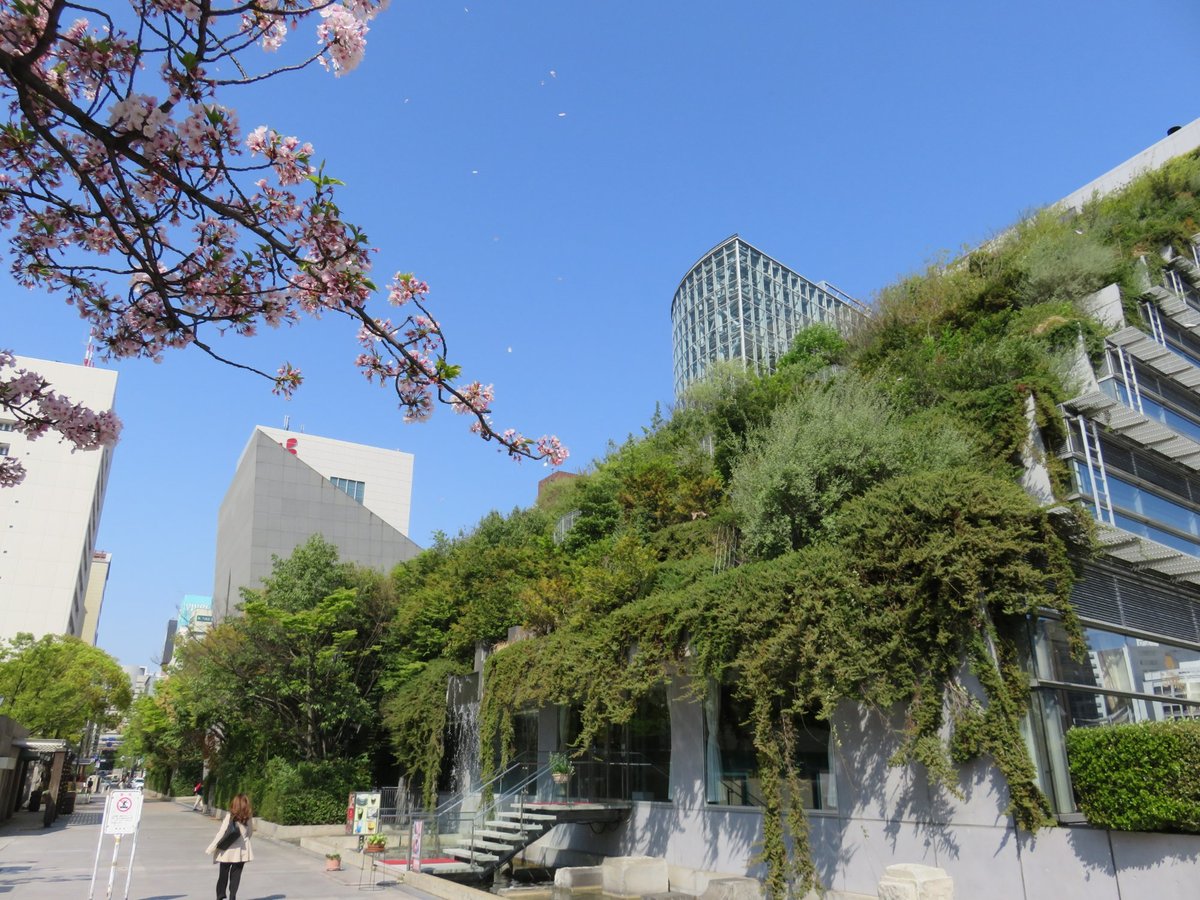 Acros Fukuoka Tenjin 旅游景点点评 Tripadvisor