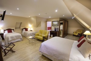 Room & Suite