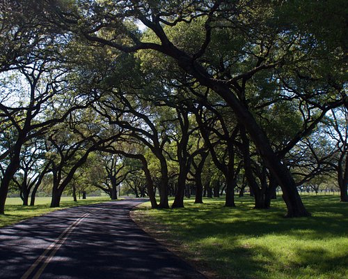 best state parks to visit in texas