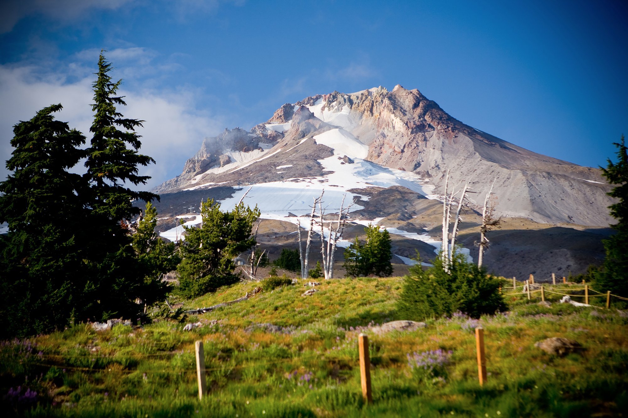 Timberline Lodge by null